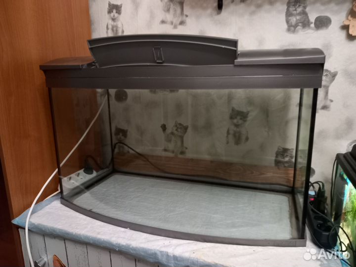 Аквариумы, кораллы