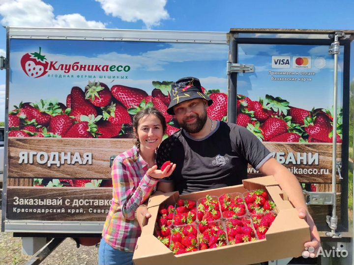 Ягодная ферма