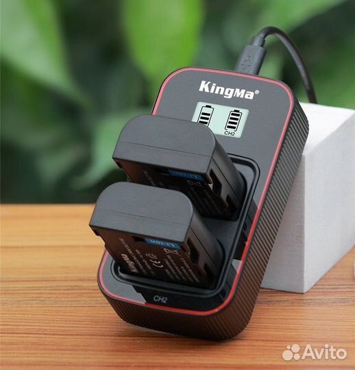 2 аккумулятора Panasonic BLF19+зарядка Kingma