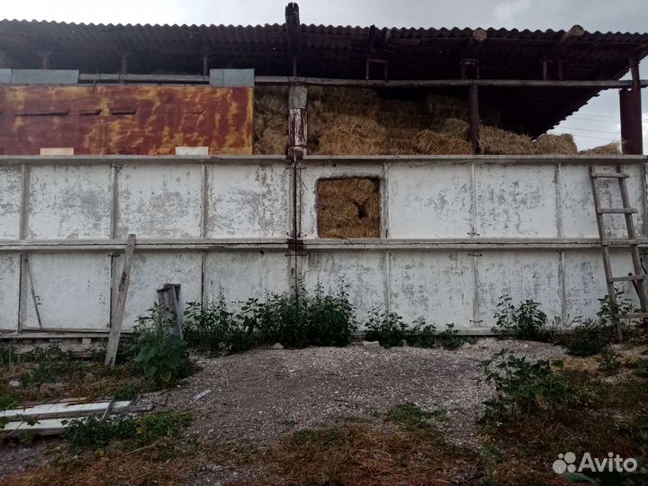 Сено в тюках