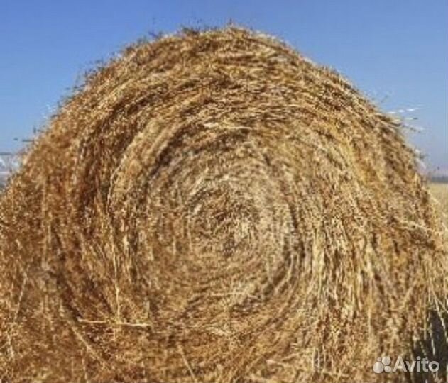 Сено в рулонах