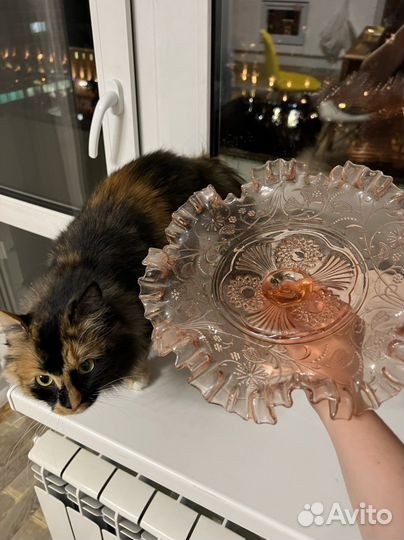 Антикварная ваза Зомбковице