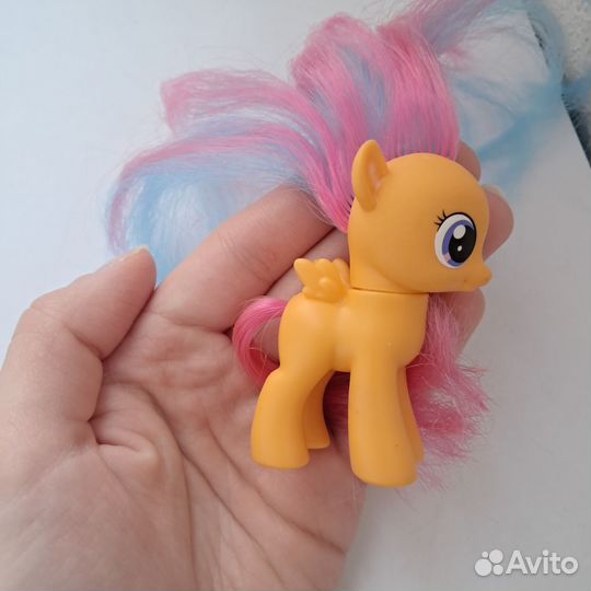 My little pony скуталу wild rainbow