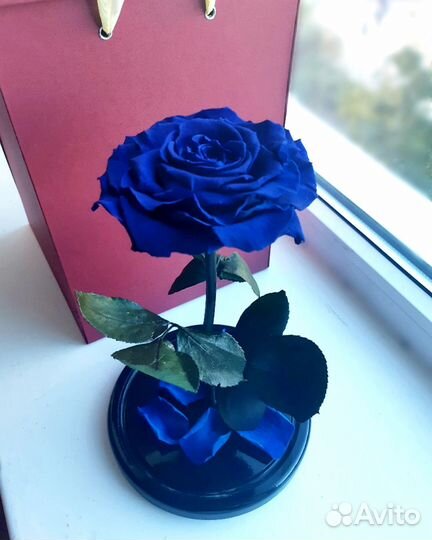 Роза в колбе. Разные размеры