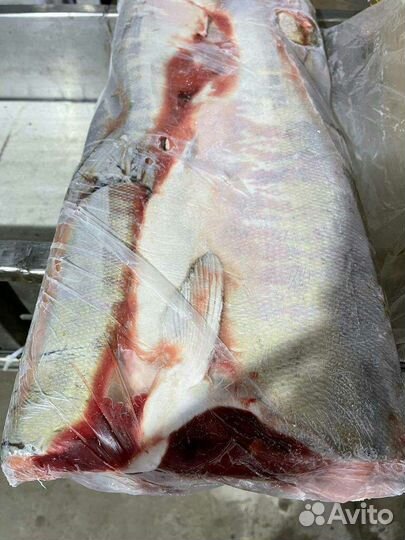 Дикий лосось кета