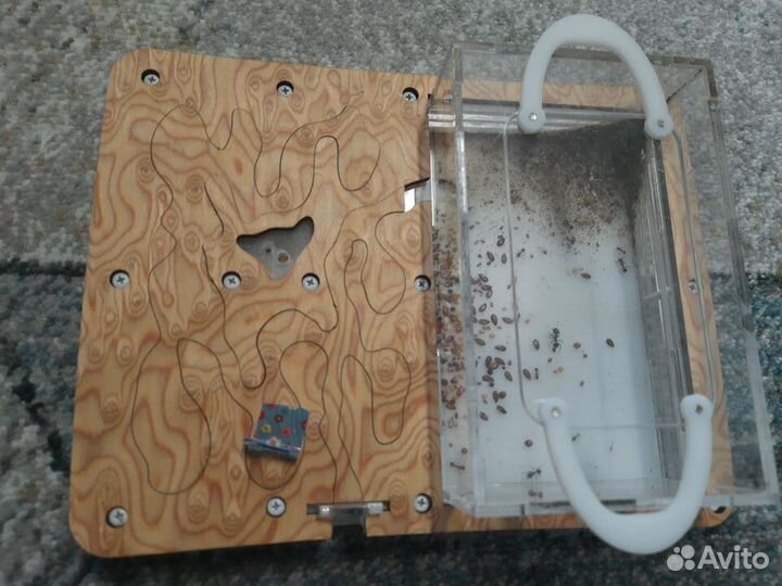 Муравьиная ферма antplanet