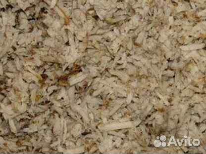 Жом свекольный