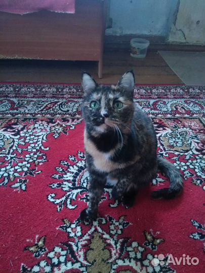 Карамелька