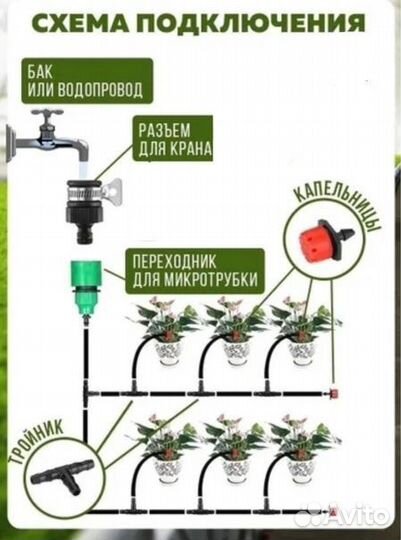 Система капельного полива