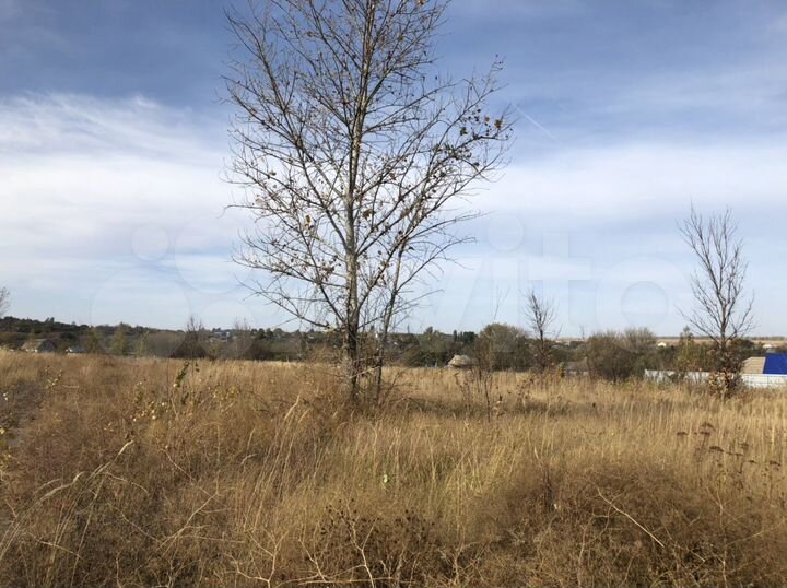 Участок 11,3 сот. (ИЖС)