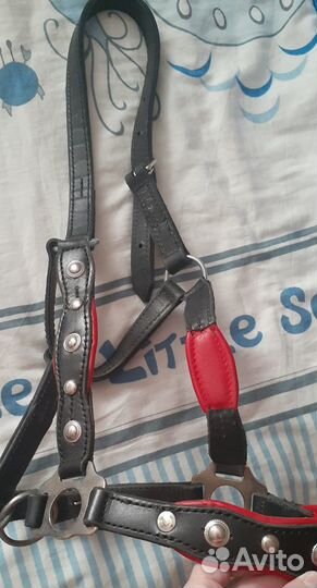 Недоуздок на лошадь