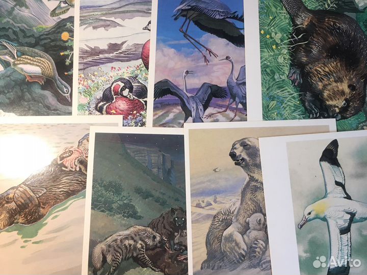 Красная книга СССР выпуск 1 16 открыток