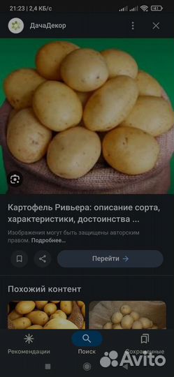 Картофель оптом
