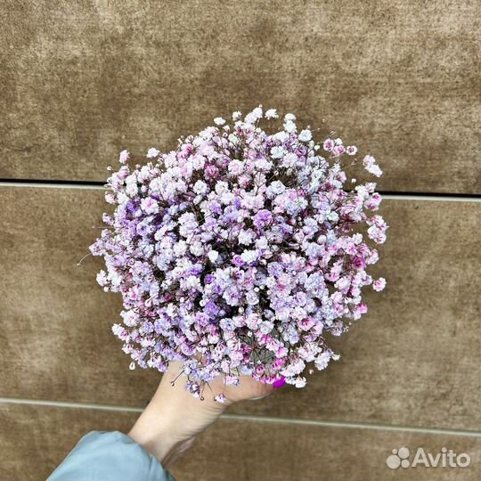 Гипсофила букет в стаканчике