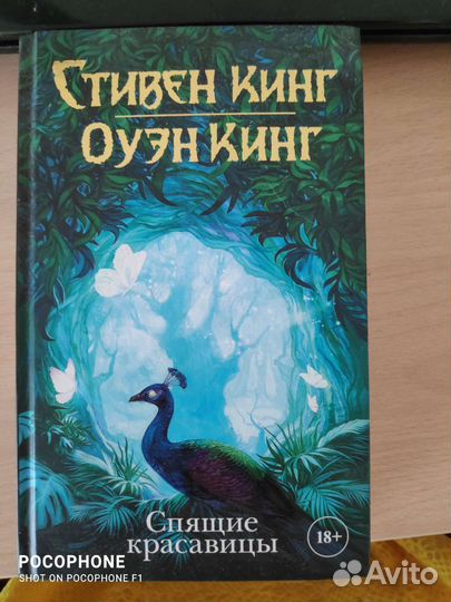 Стивен Кинг спящие красавицы