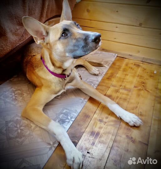 Красивый подросток мальчик ищет дом