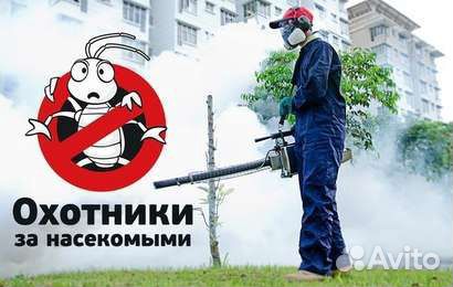 Дезинсекция