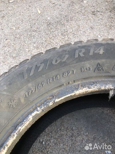 Matador MP 50 Sibir Ice 175/65 R14