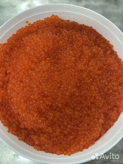 Красная икра 2023