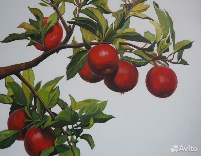 Картина маслом Яблоки на ветках