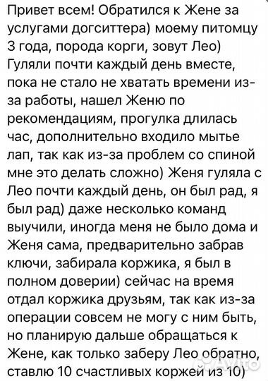 Выгульщик, няня, ситтер для собак