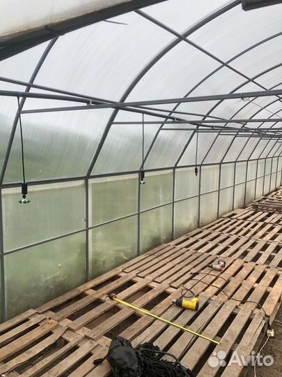 Насадка для полива (туманообразователь)