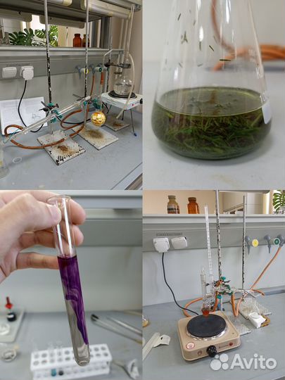 Репетитор по химии, математике 7-11 классы