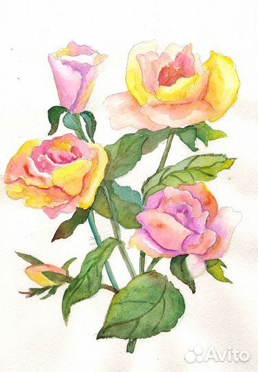 Акварели с цветами Маки,Тюльпаны,Нарциссы,Ирисы