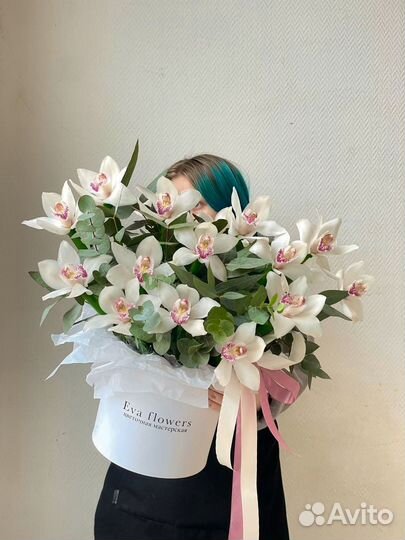 Белая орхидея, цимбидиум белый