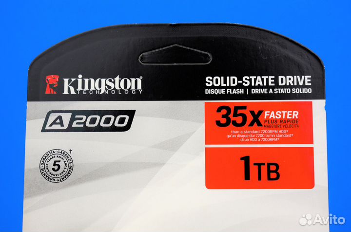 KingSton 1TB