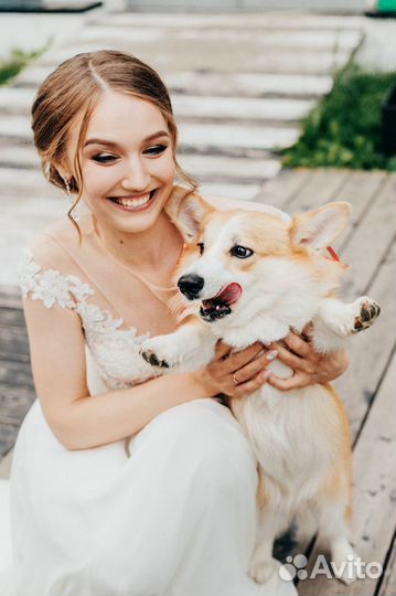 Свадебный фотограф, семейный фотограф