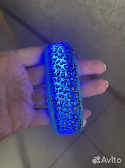 Новый светящийся ошейник для собак и кошек