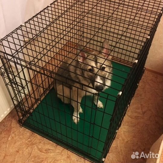 Клетка вольеры для собак