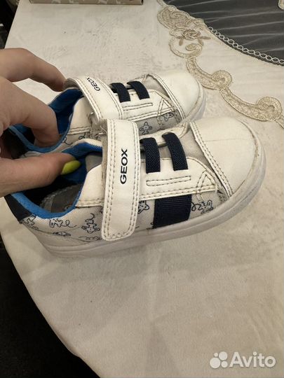 Кеды geox