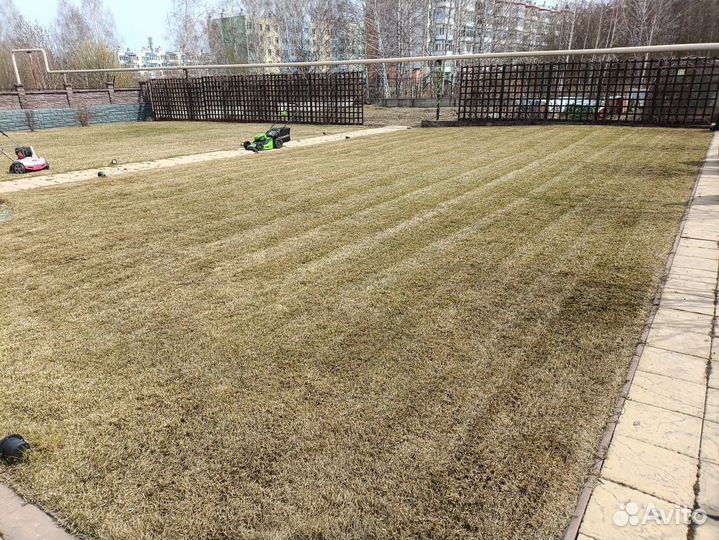 Аэрация, скарификация, кошение газона