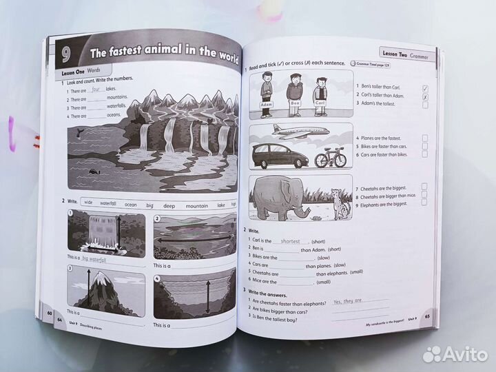 Family and Friends 3 + CD+Multi ROM