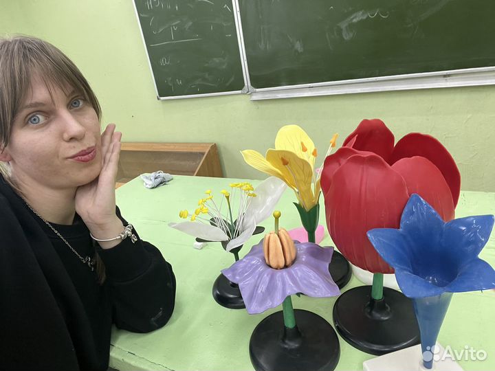 Репетитор по биологии