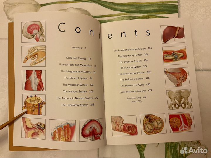 Anatomica’s body atlas