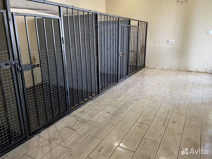 Передержка собак,Зоогостиница