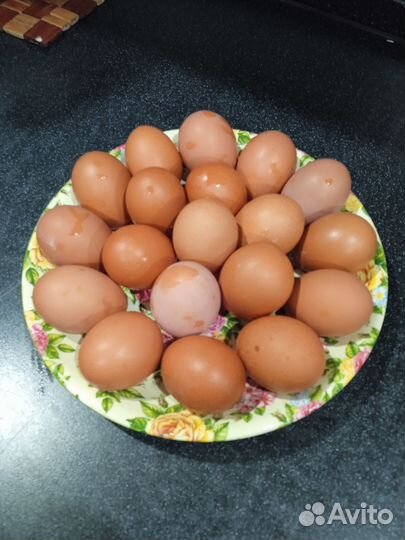 Домашние куриные яйца