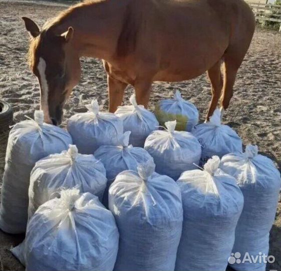 Конский навоз