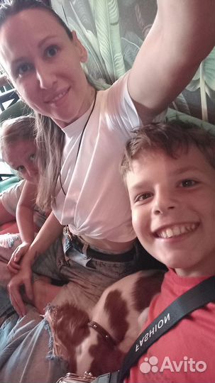 Психолог / детский психолог