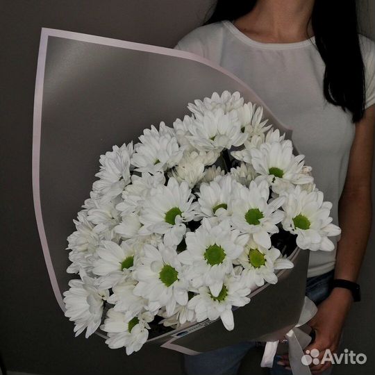 Хризантема кустовая