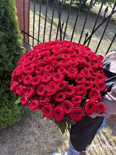 Розы оптом
