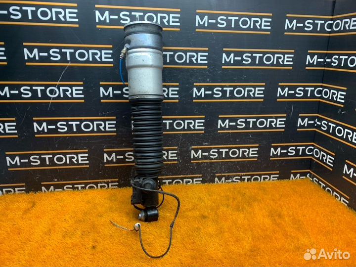 Пневмостойка задняя правая Bmw 7-Series F01