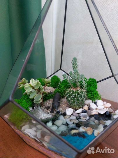 Флорариум с водоемом
