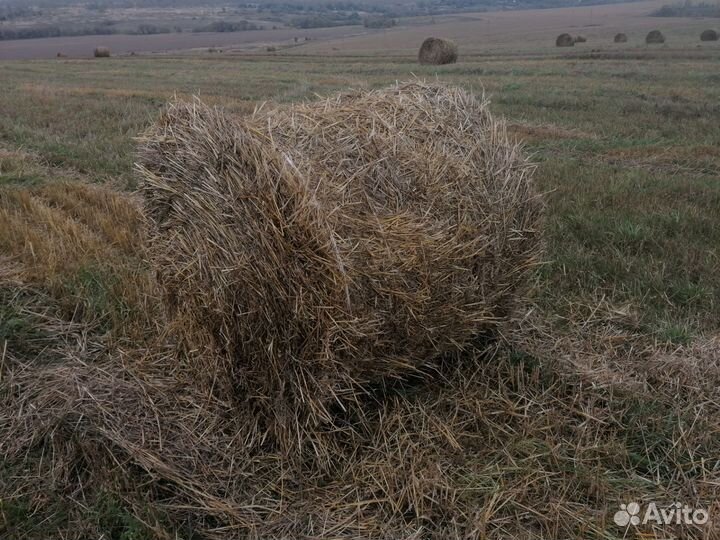 Солома в рулонах