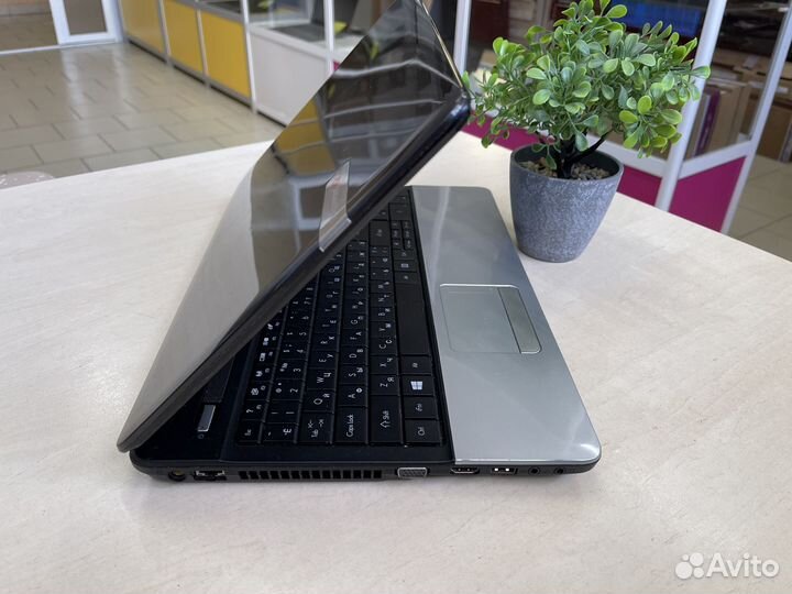 Бюджетный ноутбук Packard Bell