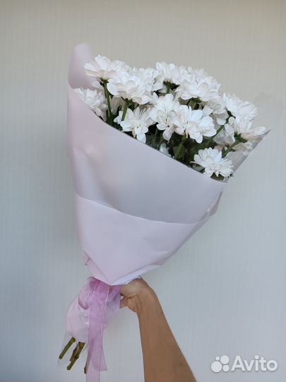 Ромашки. Букет Ромашек