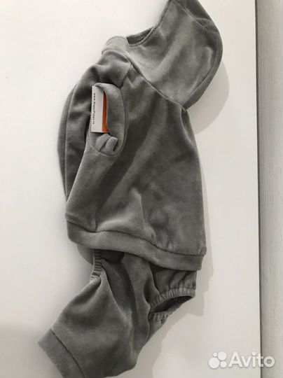 Одежда для маленькой собачки